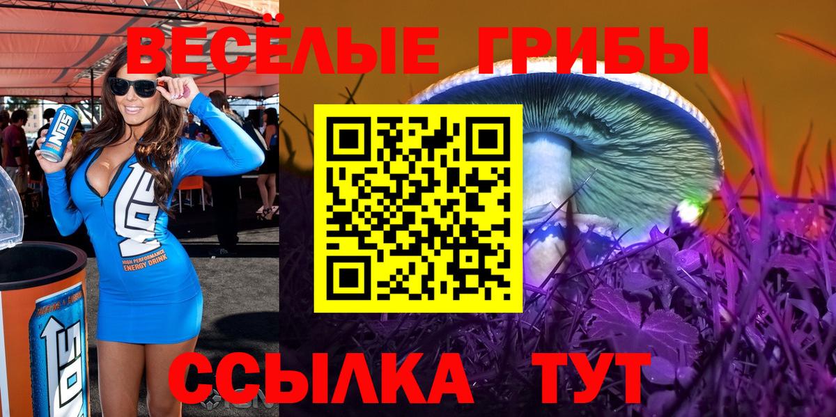 Псилоцибиновые грибы ЛСД Белгород